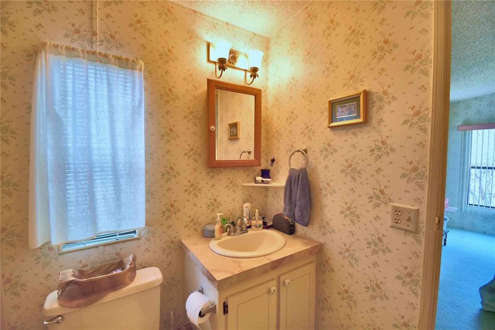 4241 CAMELIA ST, LAKE WALES, FL, 33898