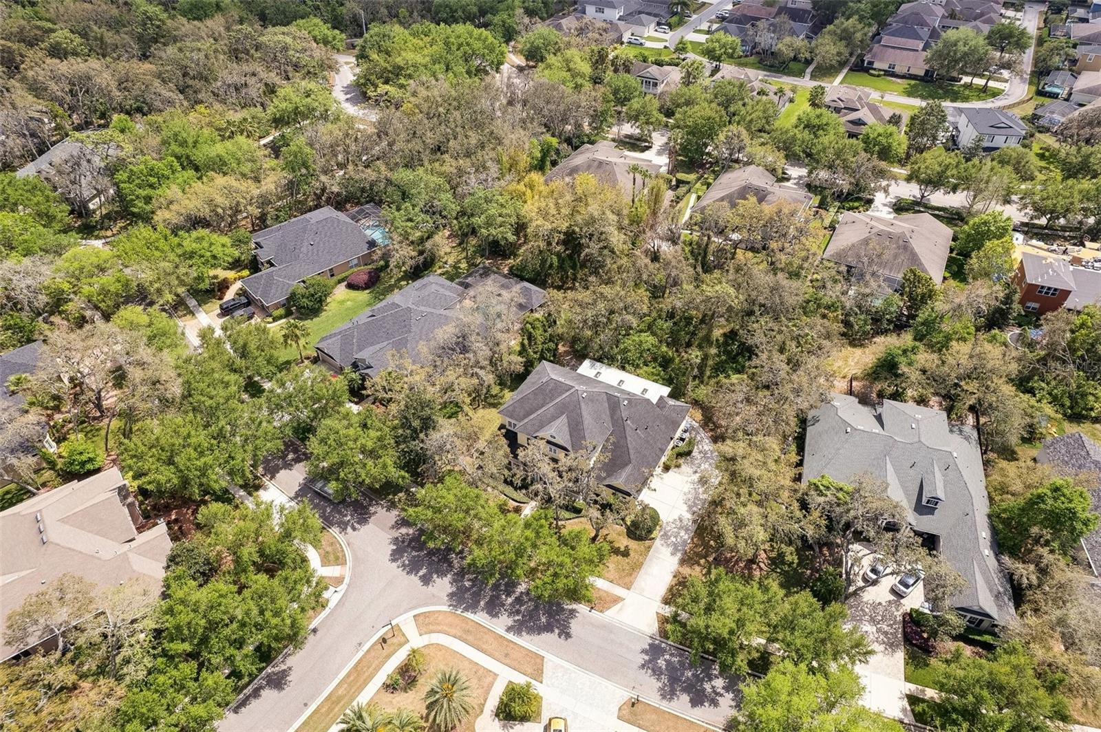 16113 TERNGLADE DR, LITHIA, FL, 33547