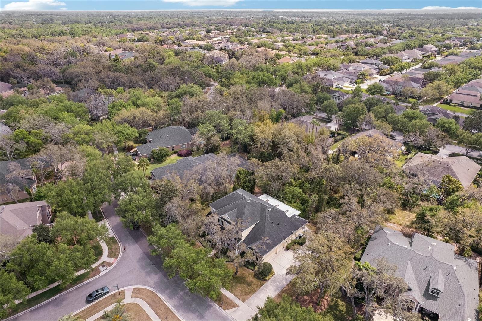 16113 TERNGLADE DR, LITHIA, FL, 33547