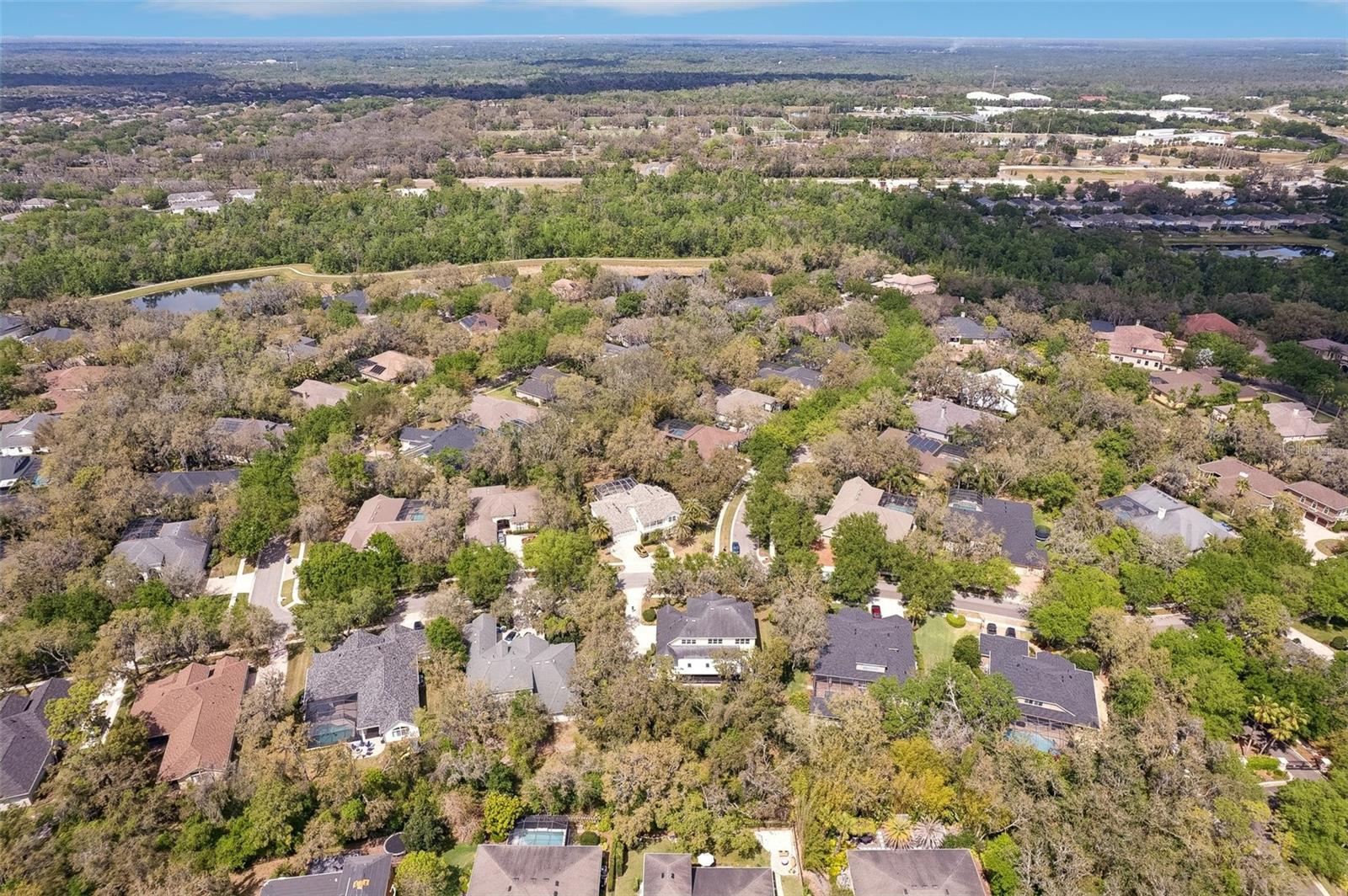 16113 TERNGLADE DR, LITHIA, FL, 33547