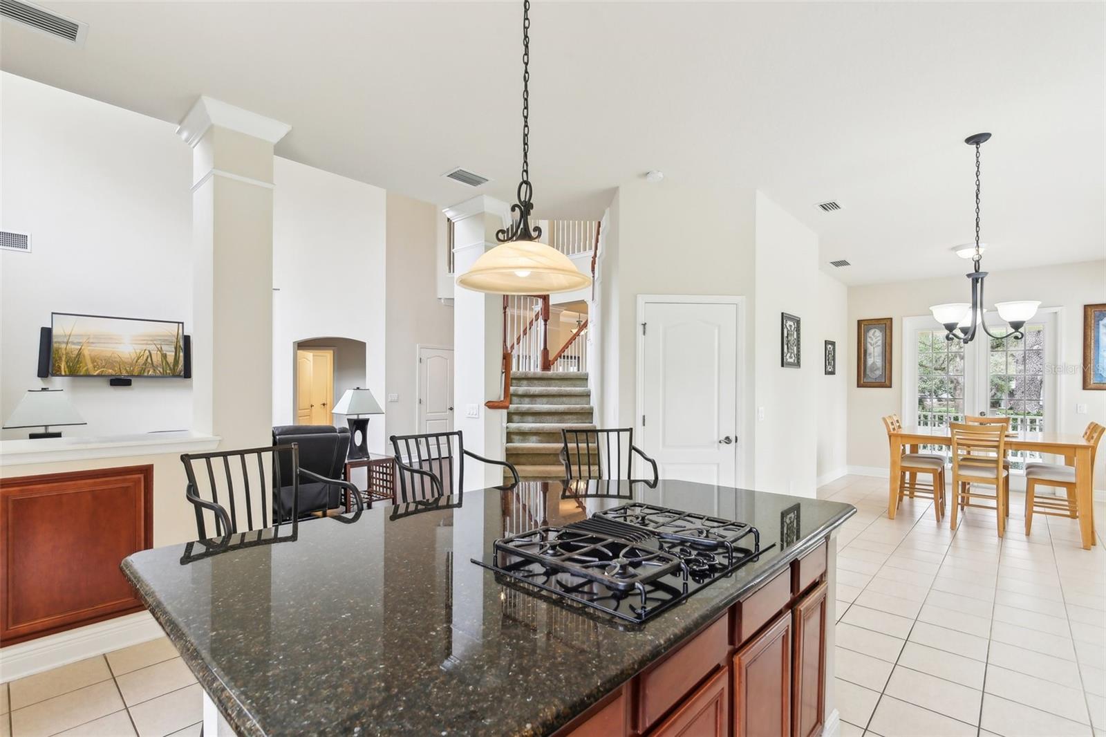 16113 TERNGLADE DR, LITHIA, FL, 33547