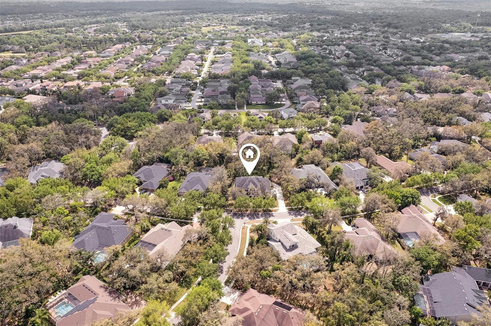 16113 TERNGLADE DR, LITHIA, FL, 33547