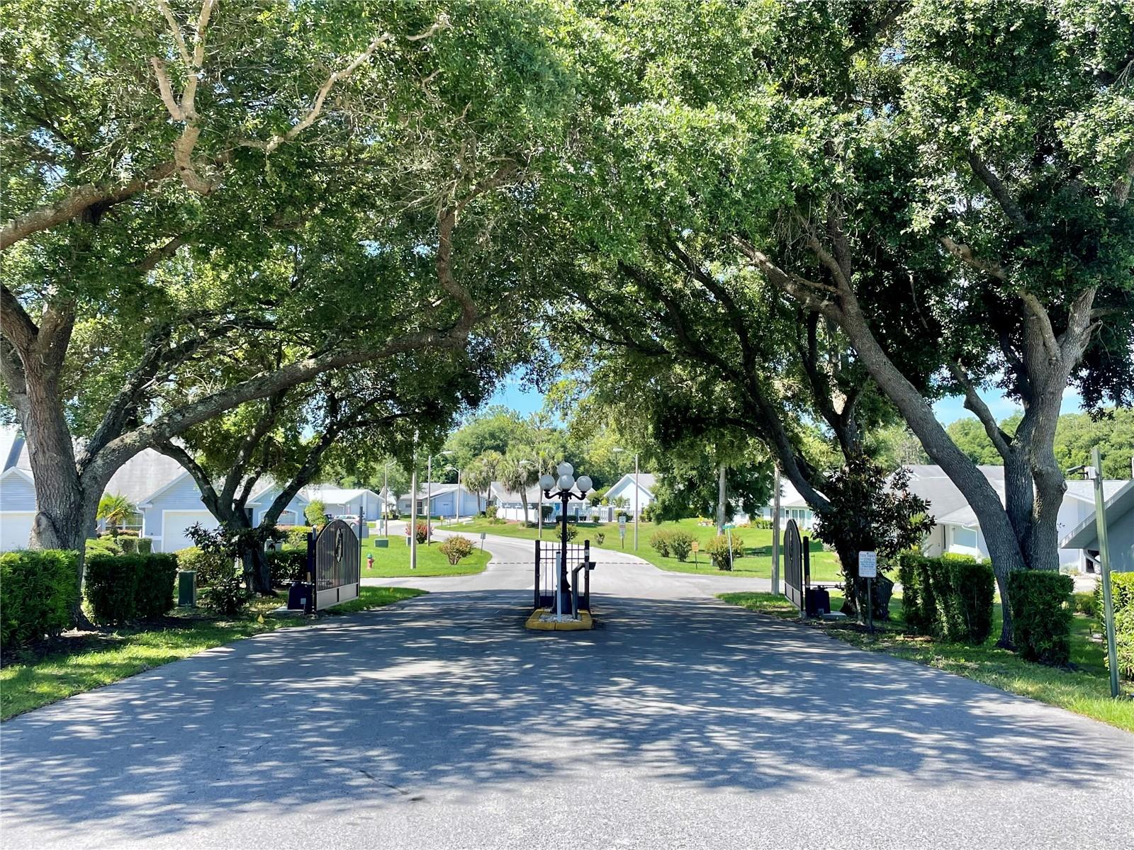 10482 SW 85TH CT, OCALA, FL, 34481