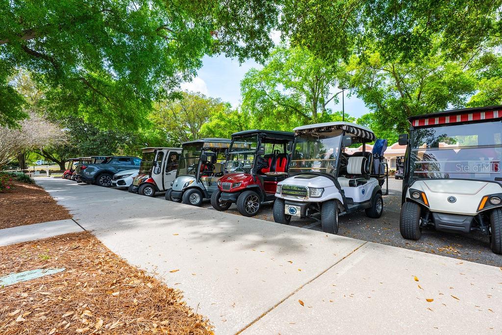 1329 PARADISE DR, LADY LAKE, FL, 32159