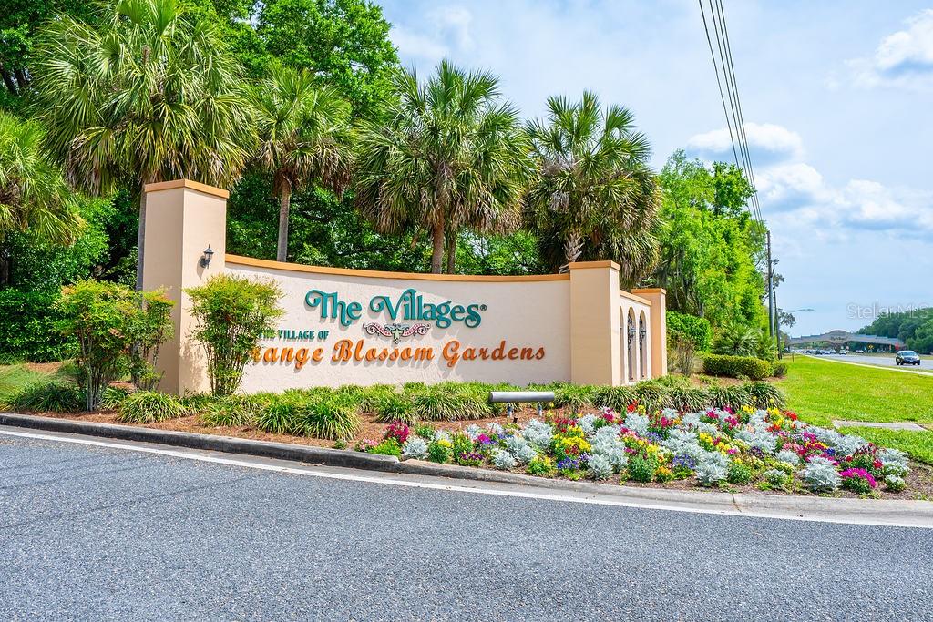 1329 PARADISE DR, LADY LAKE, FL, 32159