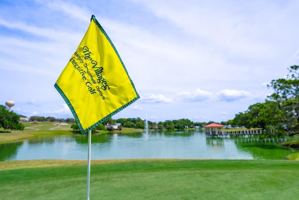 1329 PARADISE DR, LADY LAKE, FL, 32159