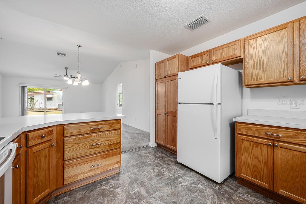 1329 PARADISE DR, LADY LAKE, FL, 32159