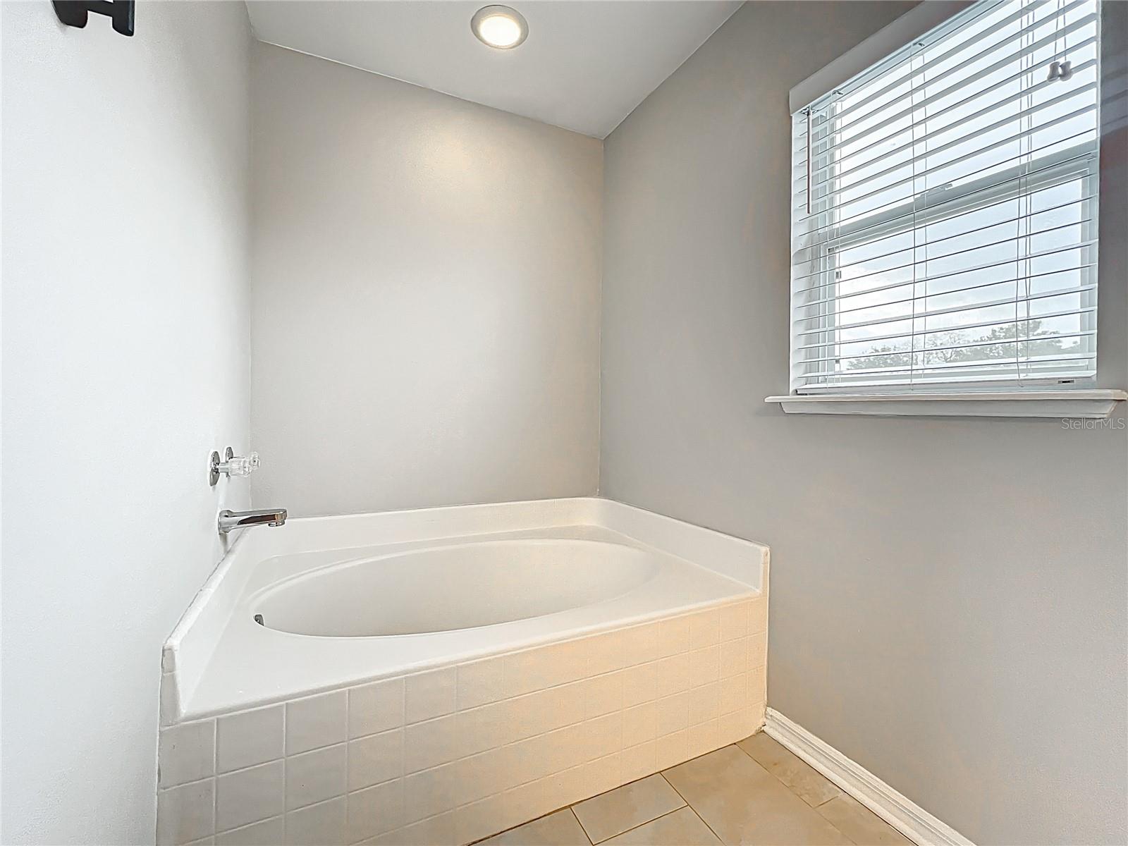 25029 HYDE PARK BLVD, LAND O LAKES, FL, 34639