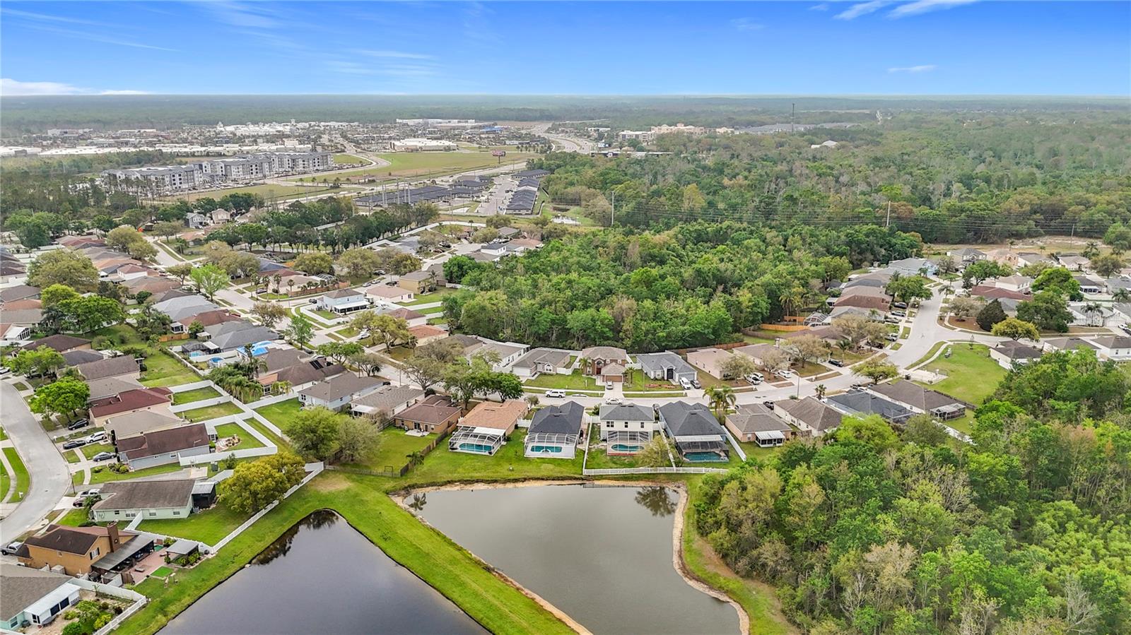 25029 HYDE PARK BLVD, LAND O LAKES, FL, 34639