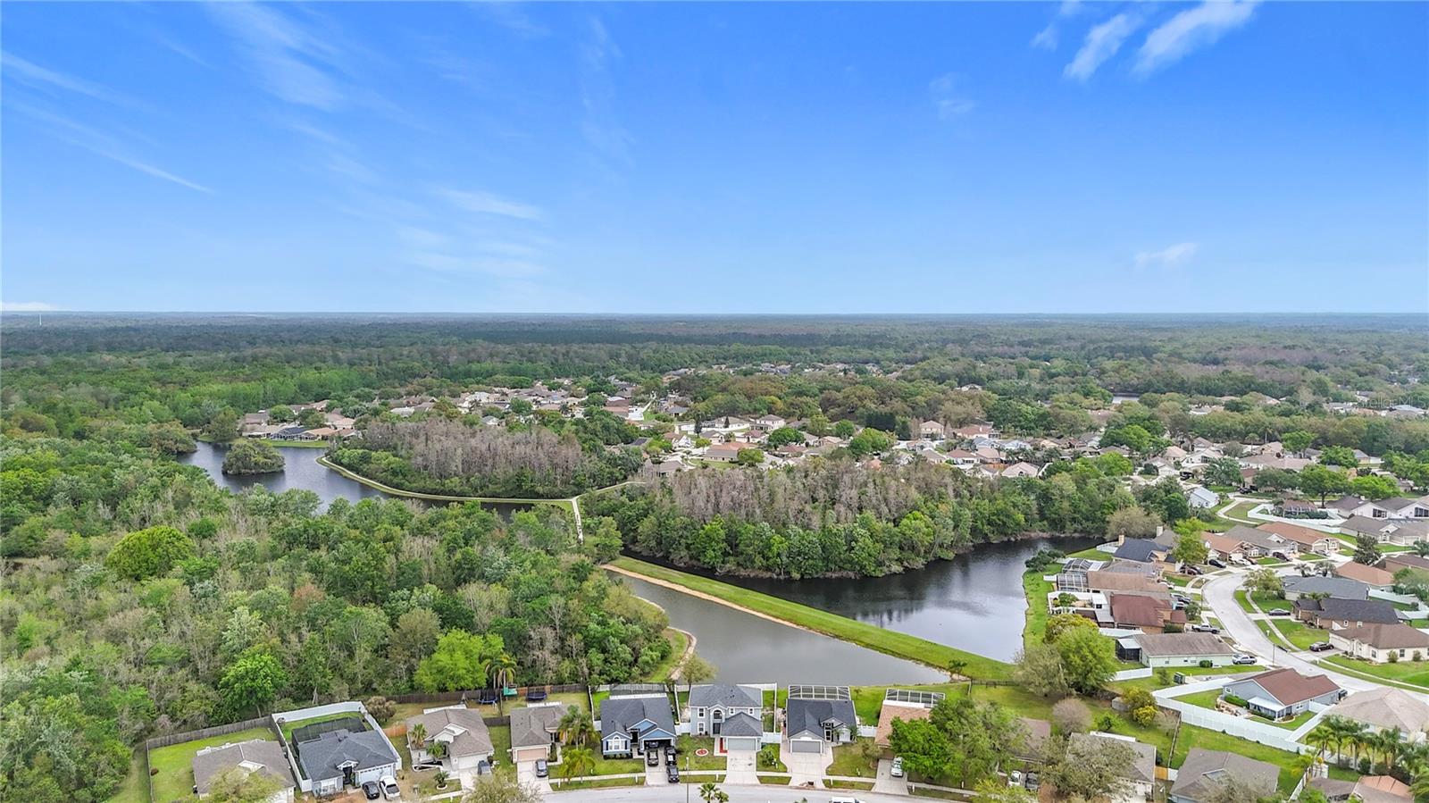 25029 HYDE PARK BLVD, LAND O LAKES, FL, 34639