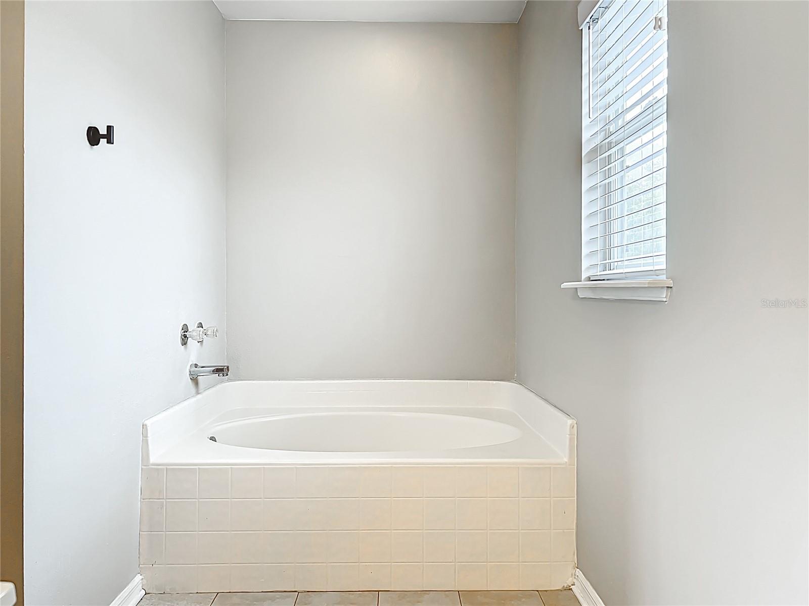 25029 HYDE PARK BLVD, LAND O LAKES, FL, 34639