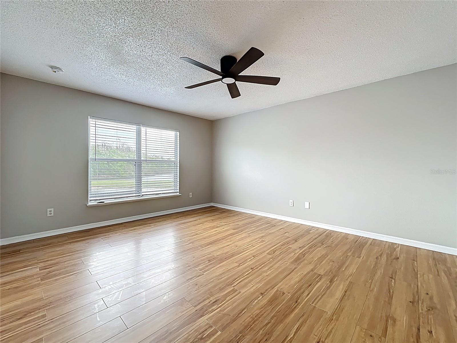 25029 HYDE PARK BLVD, LAND O LAKES, FL, 34639