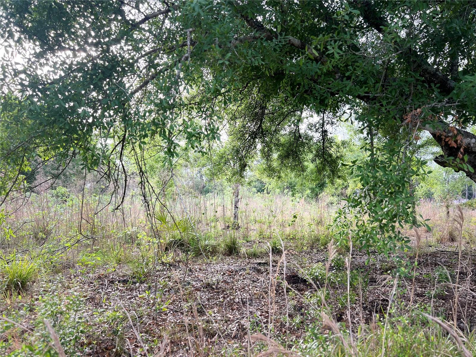 4581 SE WHEAT AVE, ARCADIA, FL, 34266