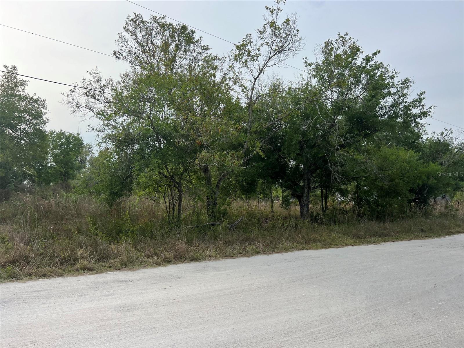 4581 SE WHEAT AVE, ARCADIA, FL, 34266