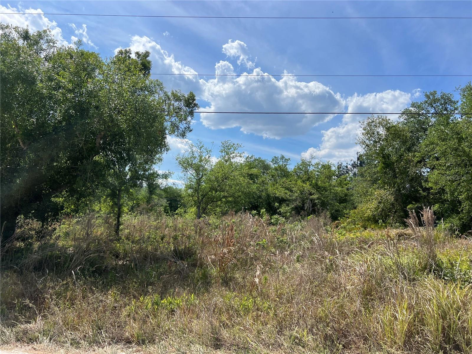 4581 SE WHEAT AVE, ARCADIA, FL, 34266