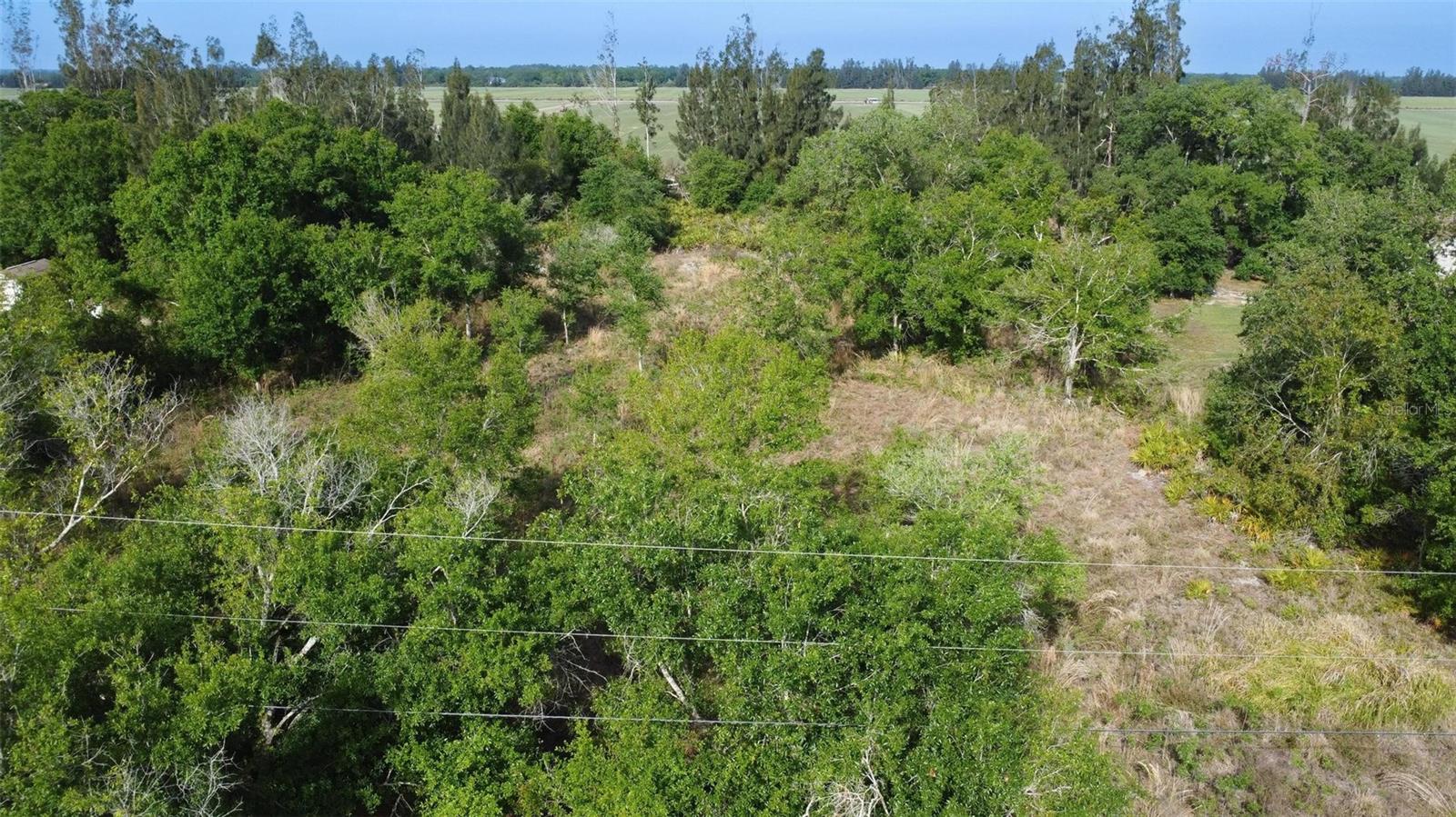 4581 SE WHEAT AVE, ARCADIA, FL, 34266