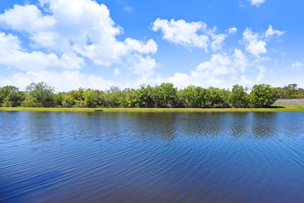 10790 92ND ST, SEMINOLE, FL, 33777