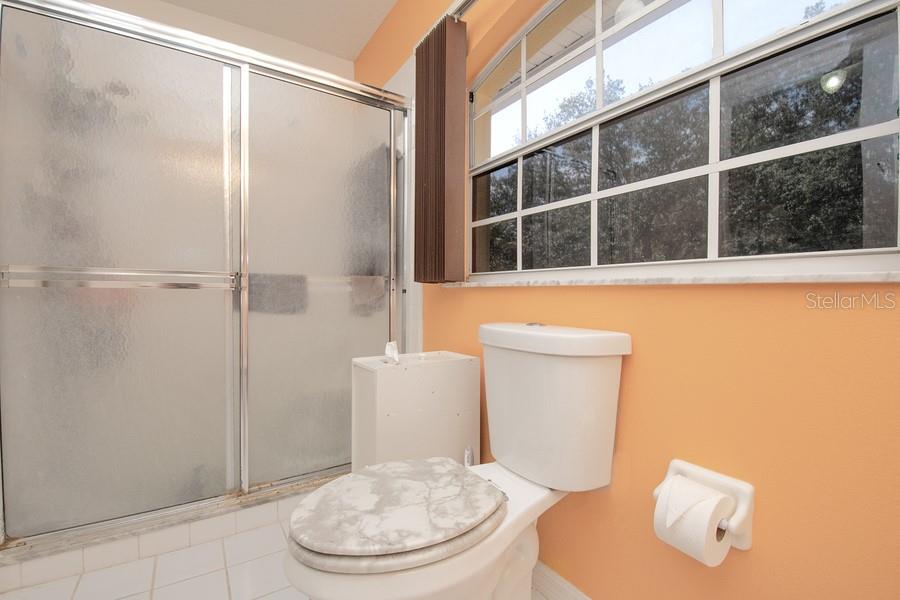 202 N PALM AVE, HOWEY IN THE HILLS, FL, 34737