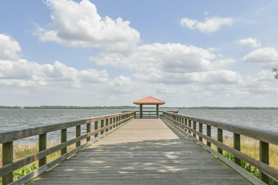 202 N PALM AVE, HOWEY IN THE HILLS, FL, 34737