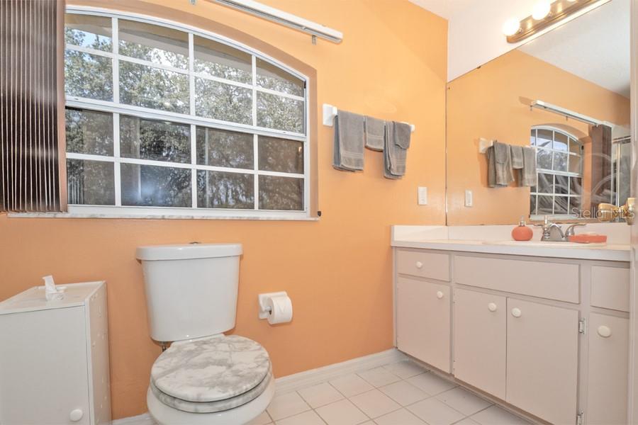 202 N PALM AVE, HOWEY IN THE HILLS, FL, 34737