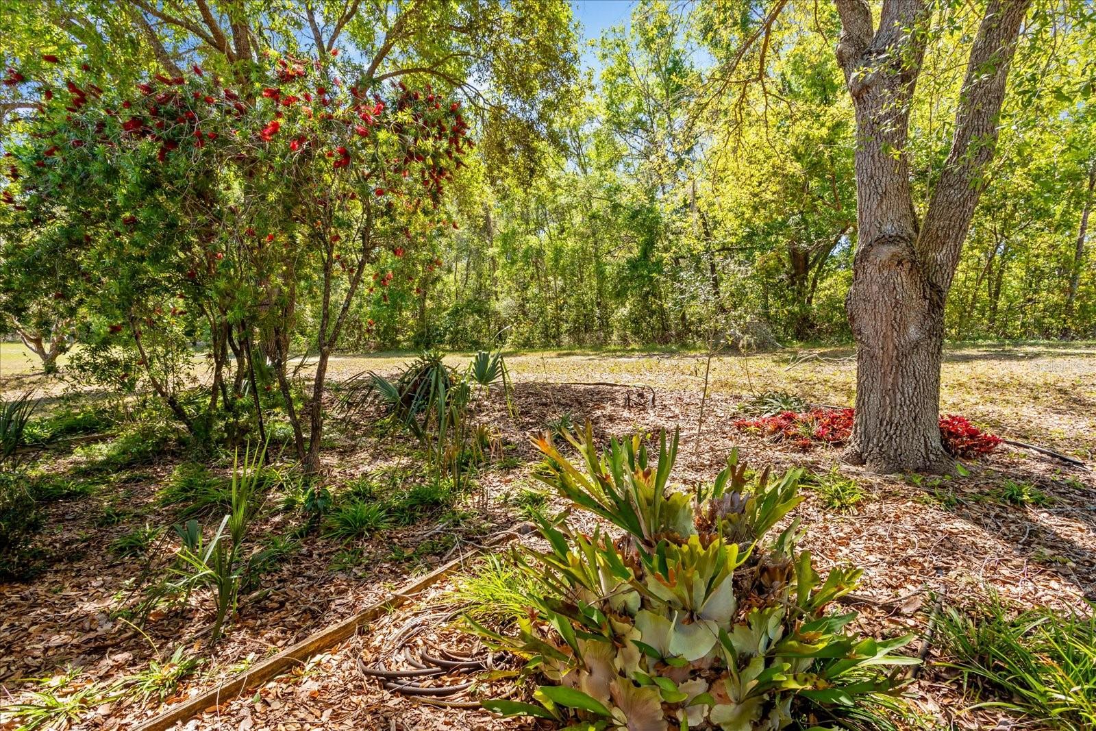 2540 AMYRIS CT #600, ZELLWOOD, FL, 32798