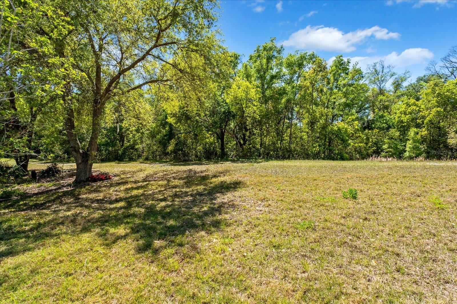 2540 AMYRIS CT #600, ZELLWOOD, FL, 32798