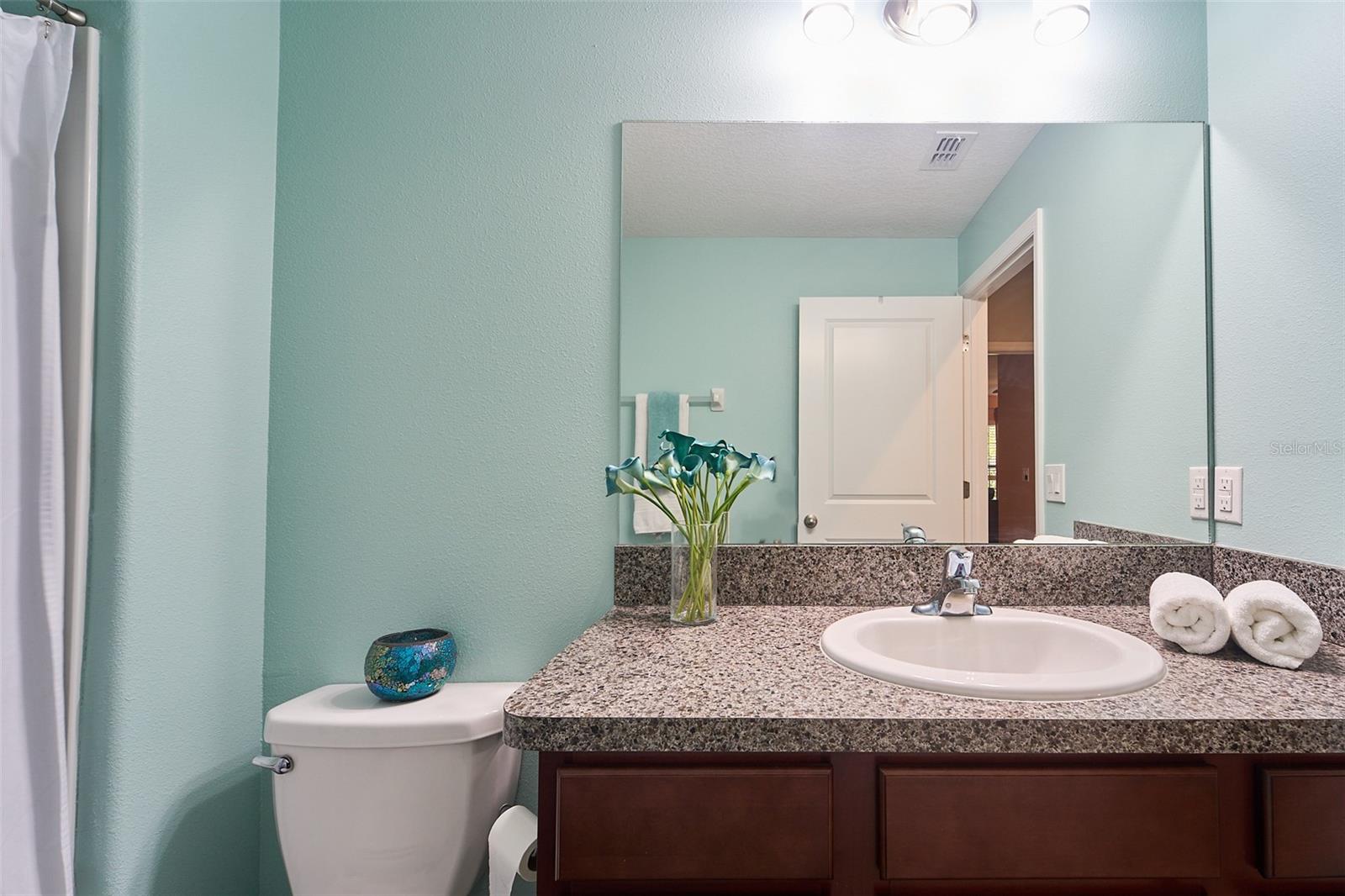 9736 SAGE CREEK DR, RUSKIN, FL, 33573
