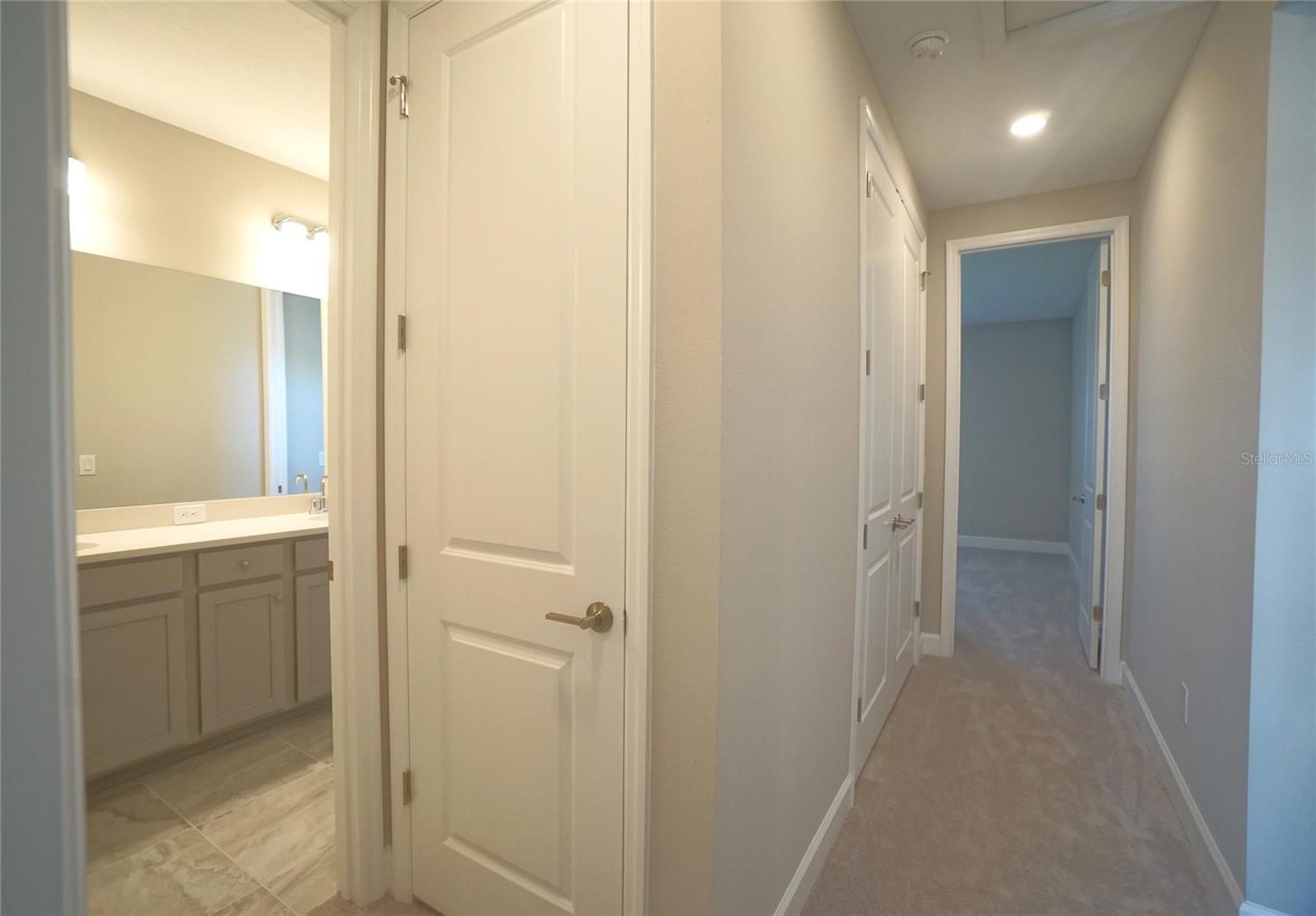 34013 ANCHOR LIGHT LN, WESLEY CHAPEL, FL, 33543
