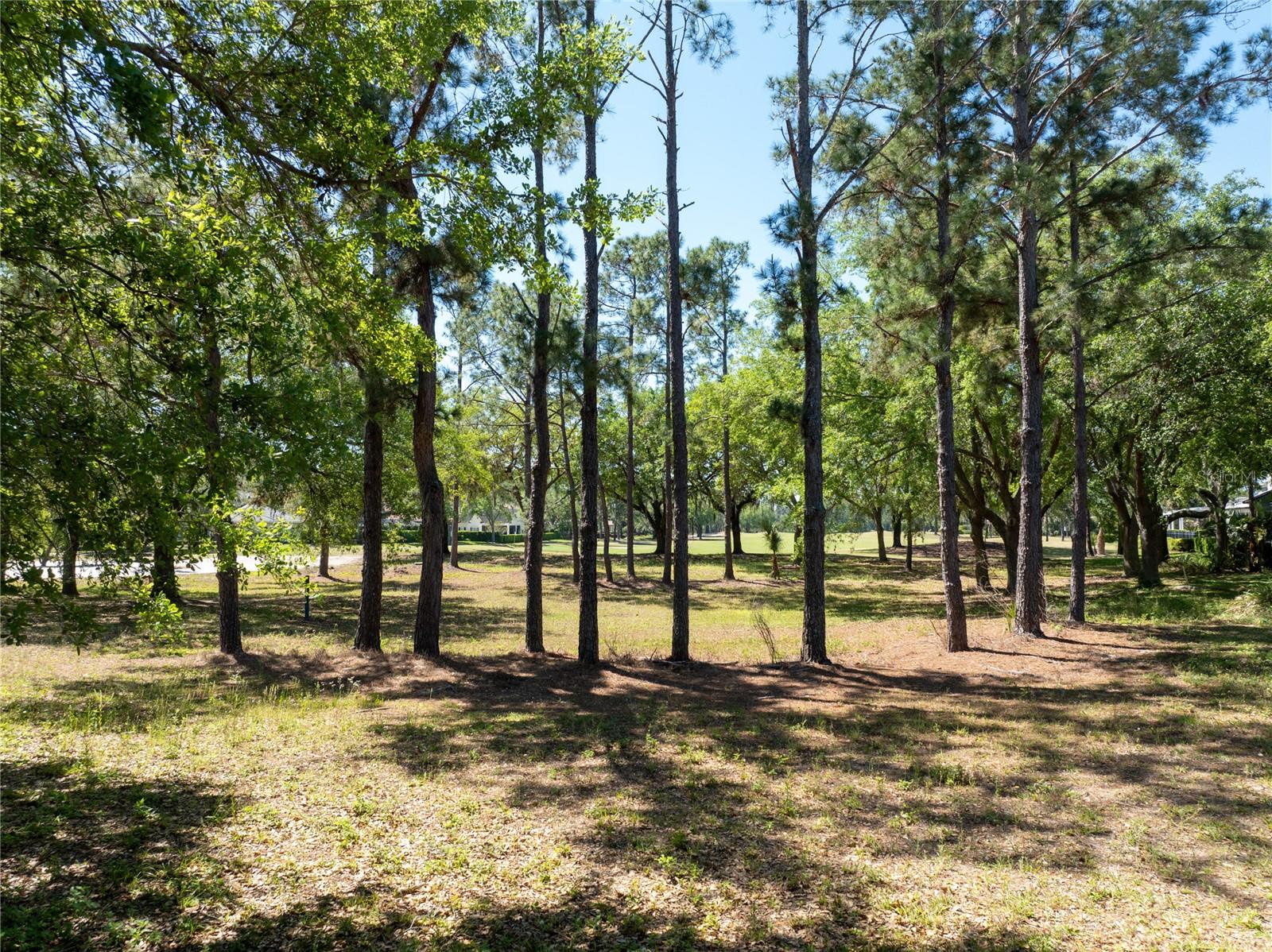 6110 KEENES POINTE DR, WINDERMERE, FL, 34786