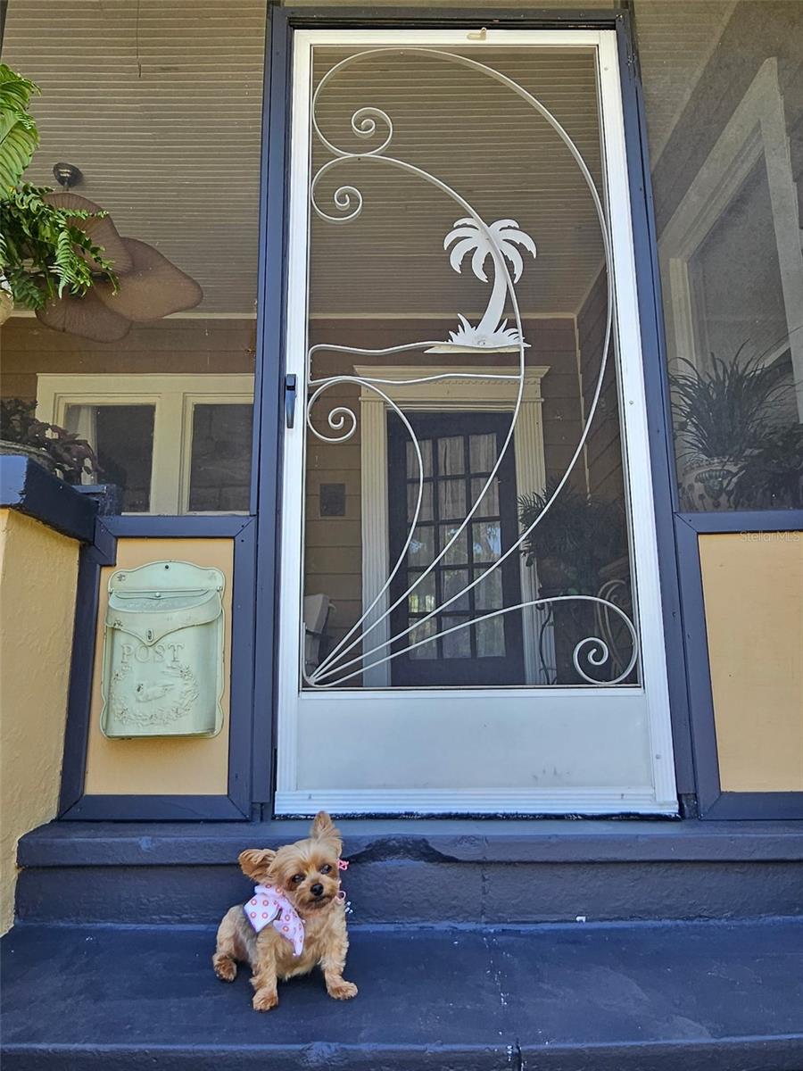 2910 BURLINGTON AVE N, ST PETERSBURG, FL, 33713