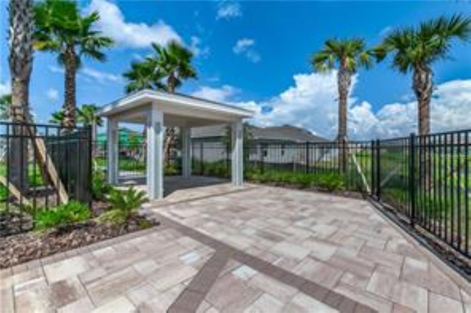 10612 STRAWBERRY TETRA DR, RIVERVIEW, FL, 33578