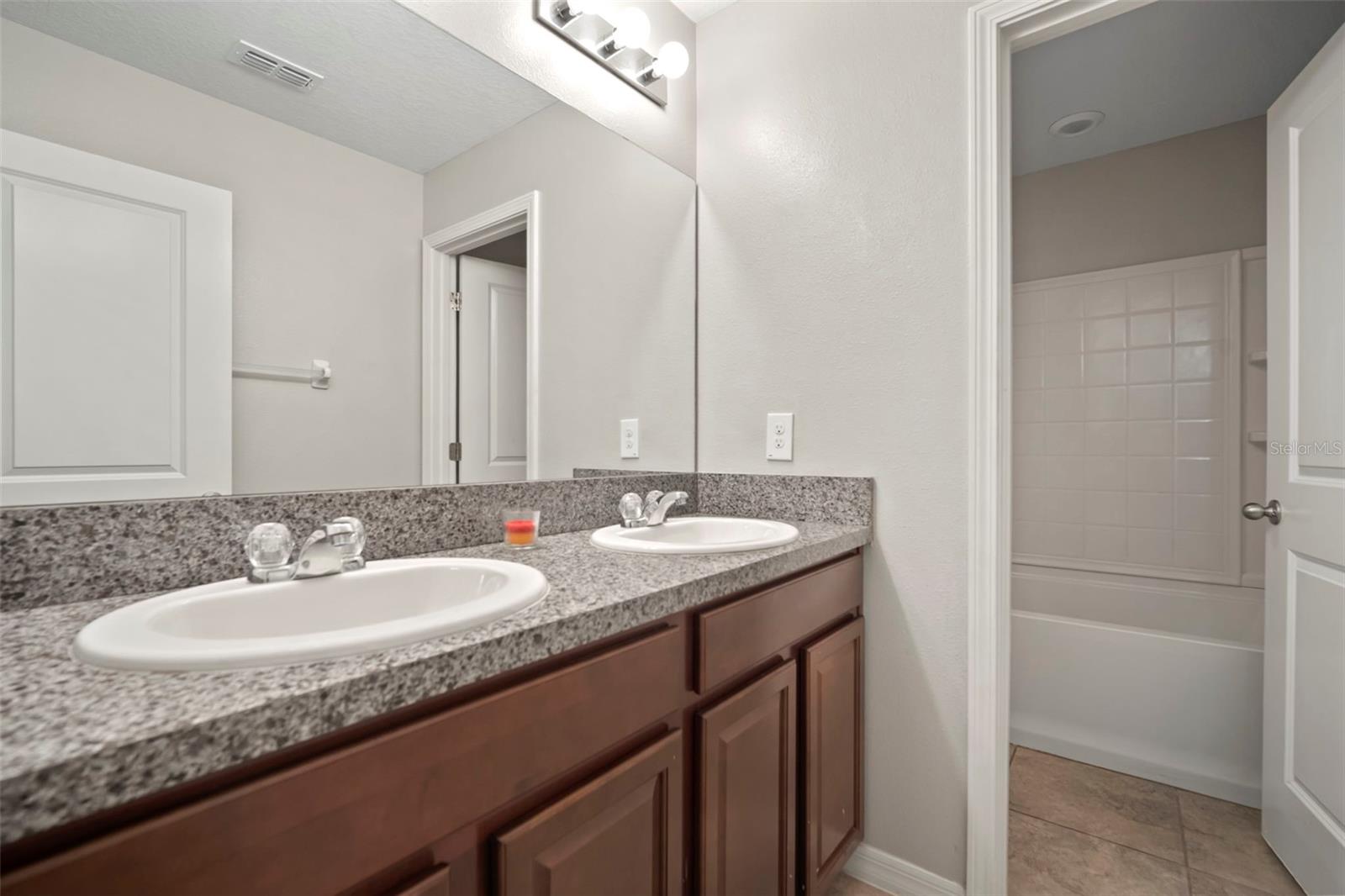 10612 STRAWBERRY TETRA DR, RIVERVIEW, FL, 33578