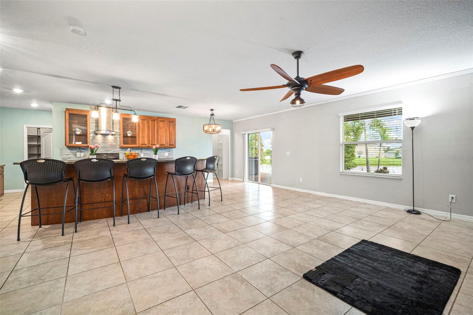 10612 STRAWBERRY TETRA DR, RIVERVIEW, FL, 33578
