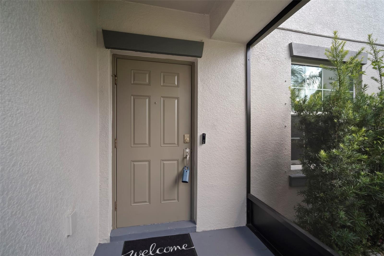 10612 STRAWBERRY TETRA DR, RIVERVIEW, FL, 33578