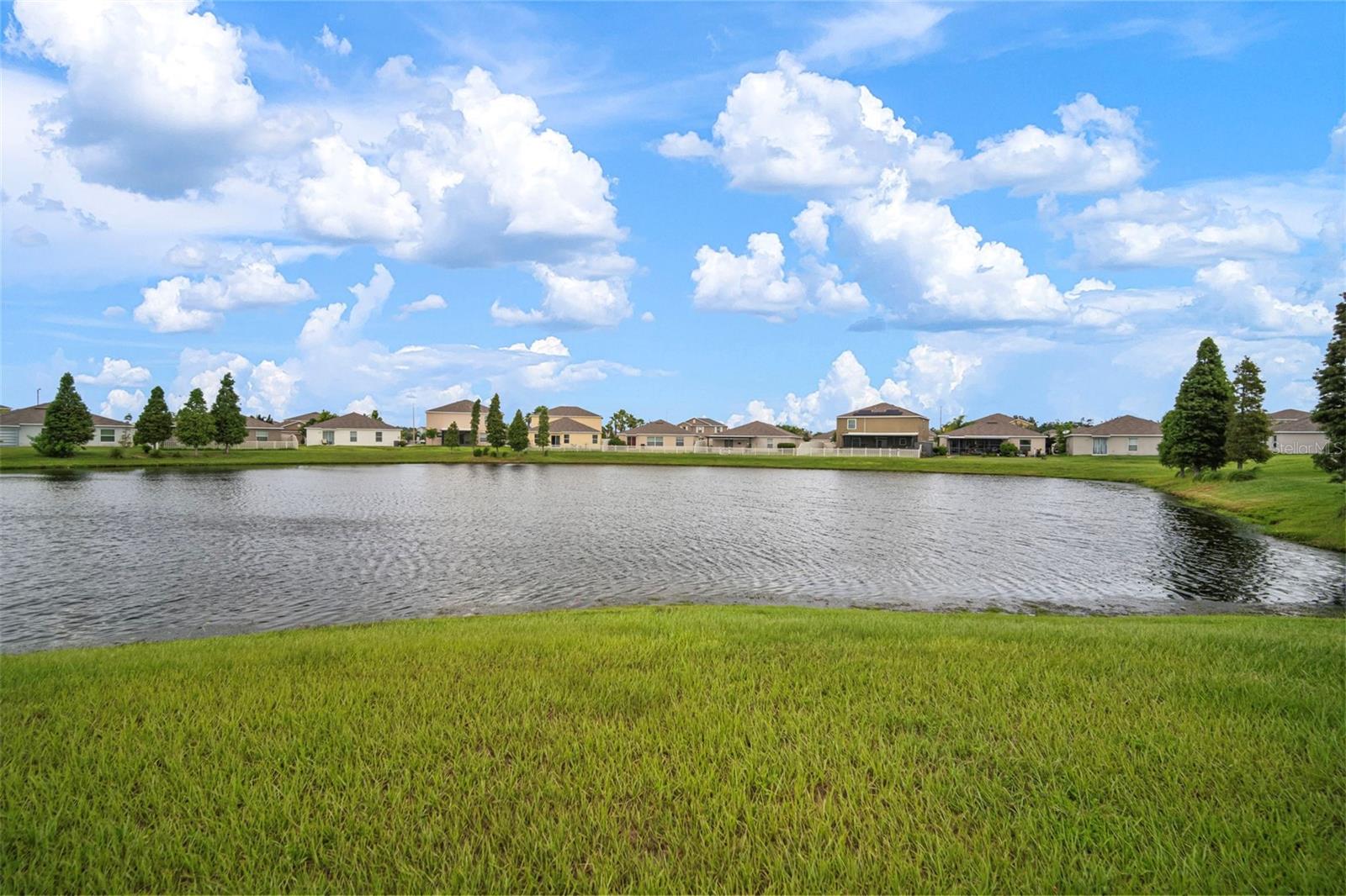 10612 STRAWBERRY TETRA DR, RIVERVIEW, FL, 33578