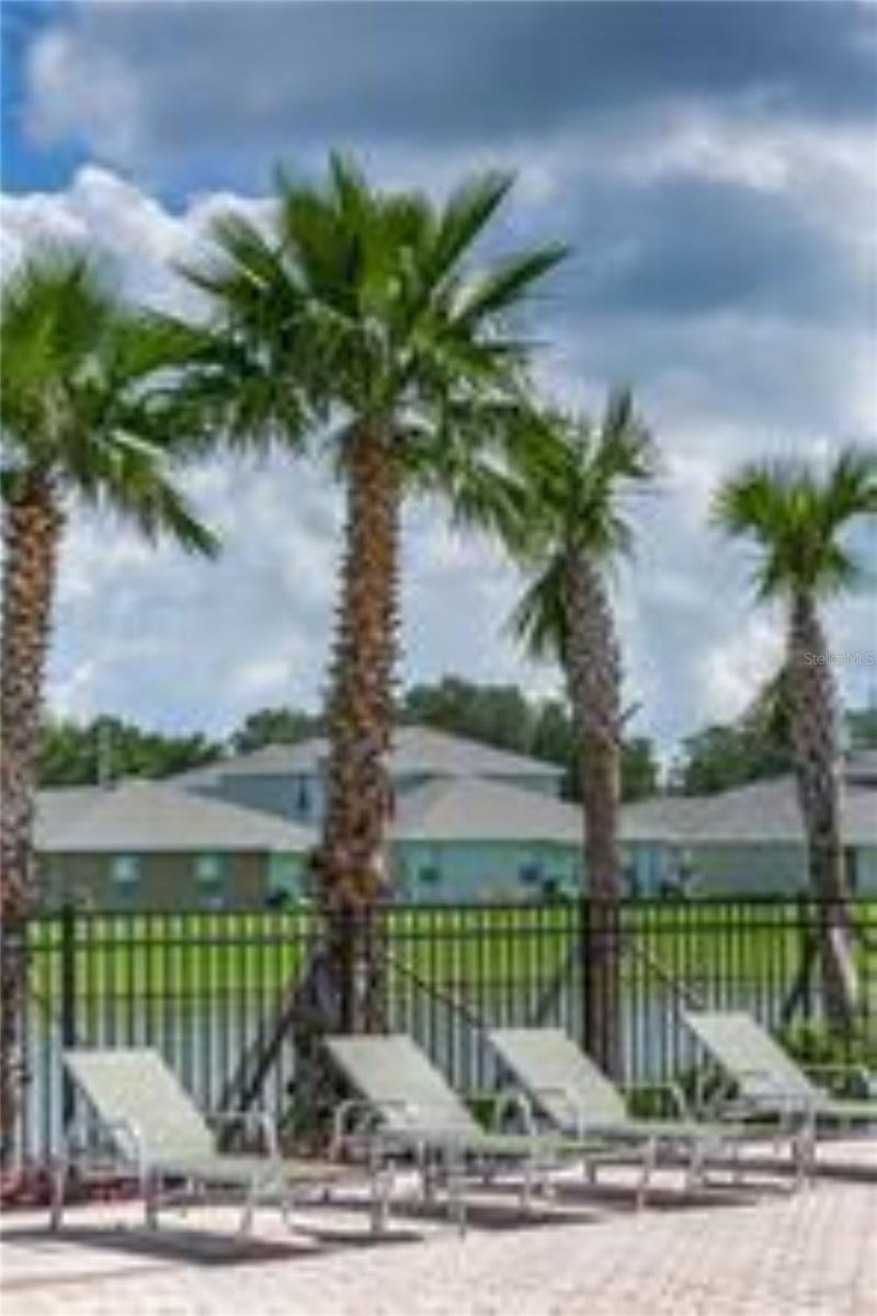 10612 STRAWBERRY TETRA DR, RIVERVIEW, FL, 33578