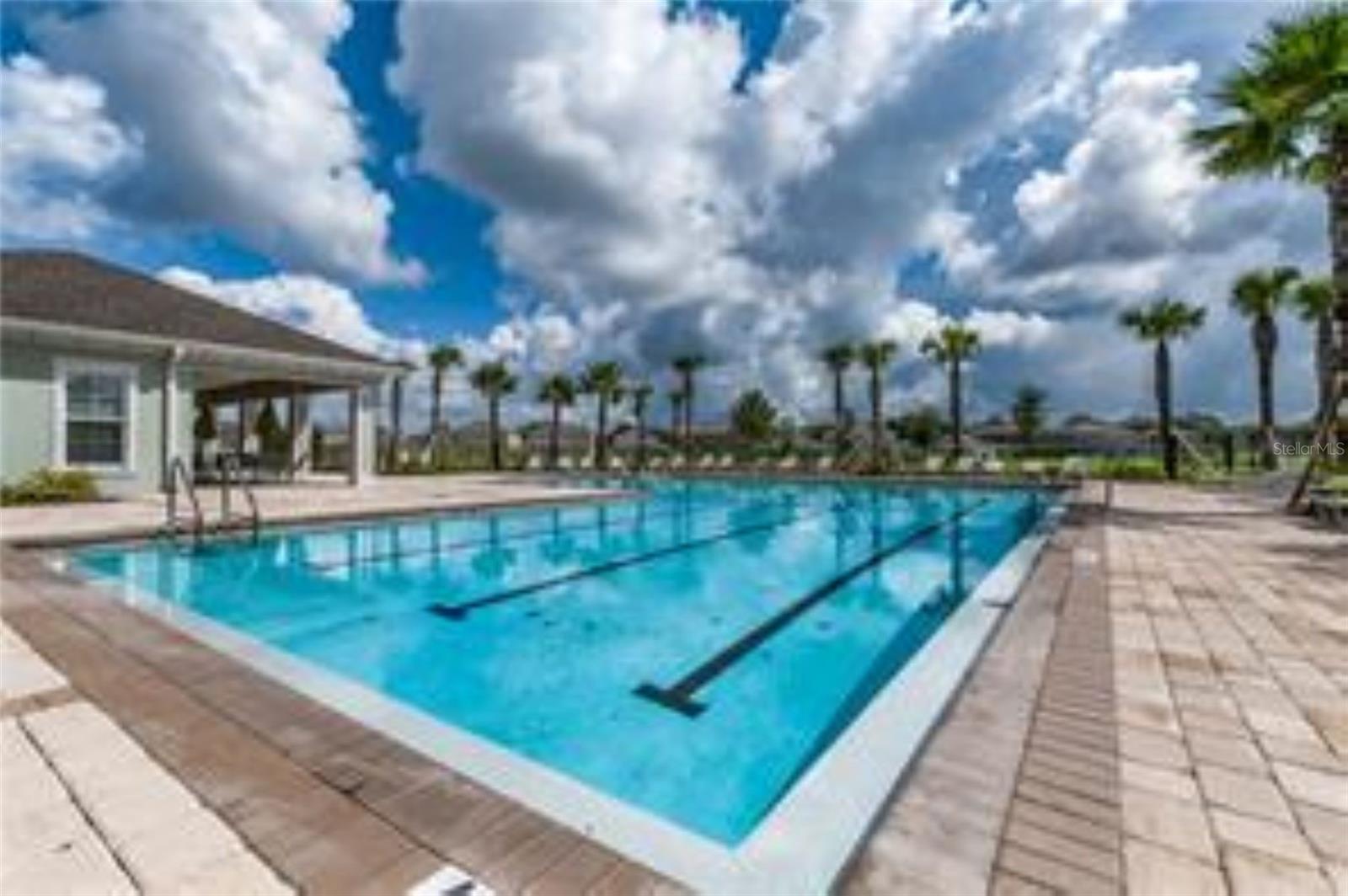 10612 STRAWBERRY TETRA DR, RIVERVIEW, FL, 33578