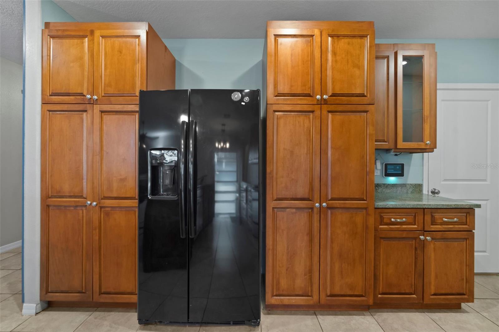 10612 STRAWBERRY TETRA DR, RIVERVIEW, FL, 33578