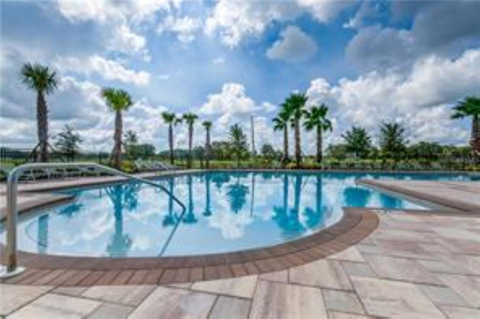 10612 STRAWBERRY TETRA DR, RIVERVIEW, FL, 33578