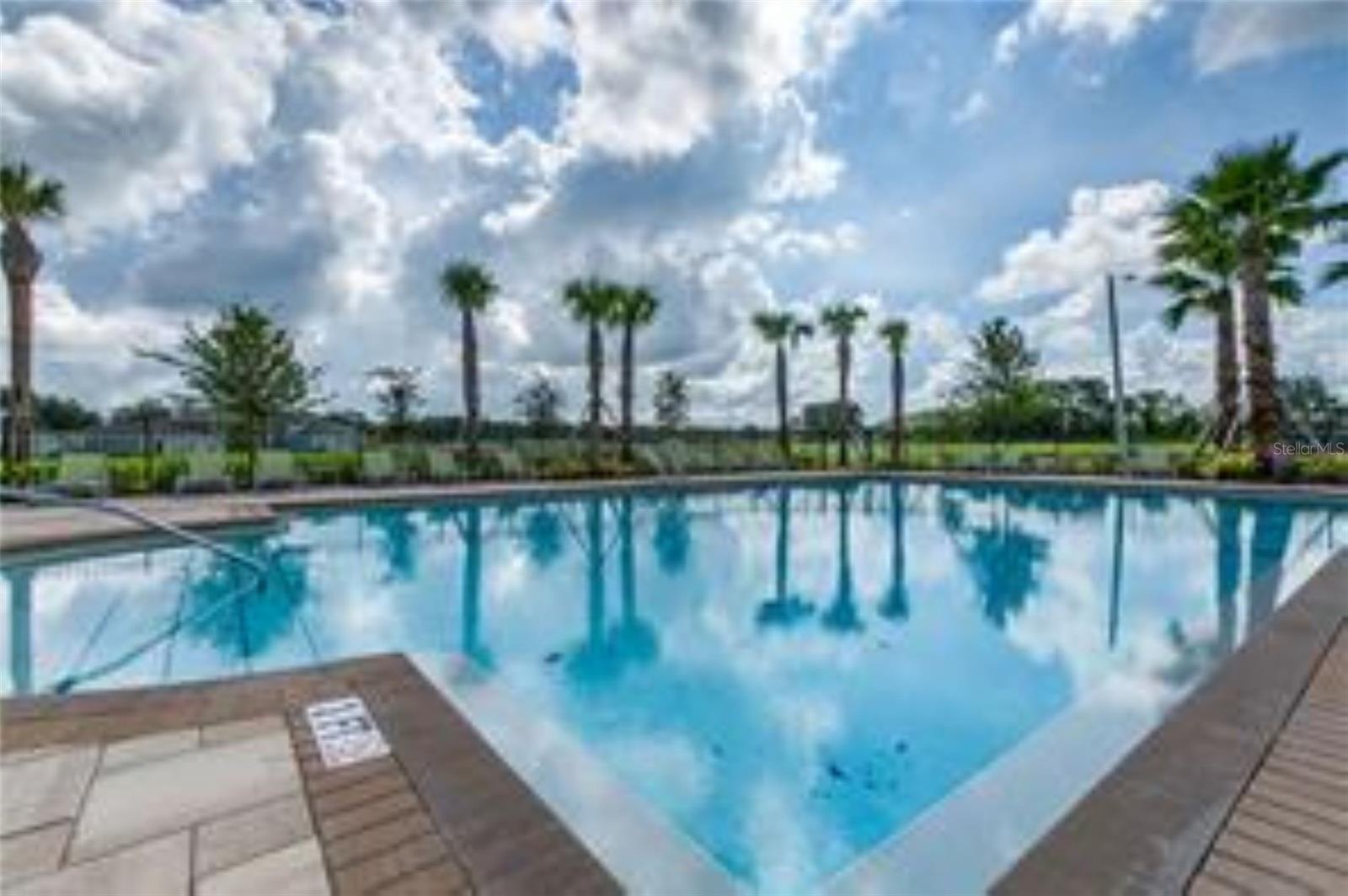 10612 STRAWBERRY TETRA DR, RIVERVIEW, FL, 33578