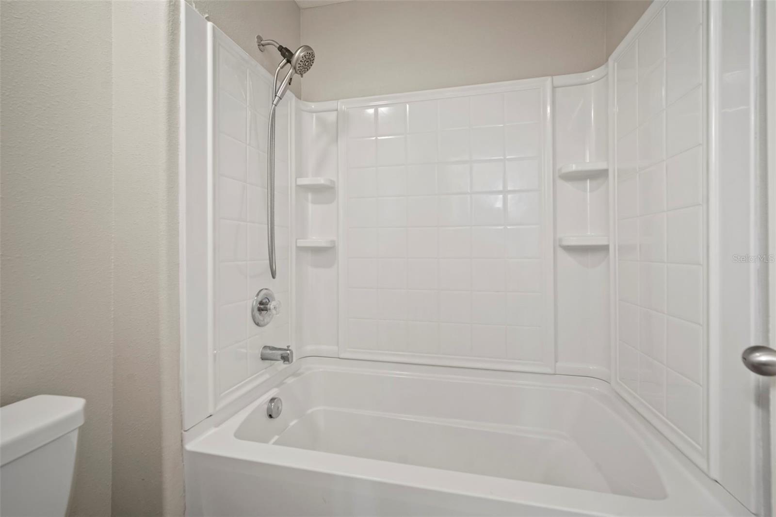 10612 STRAWBERRY TETRA DR, RIVERVIEW, FL, 33578