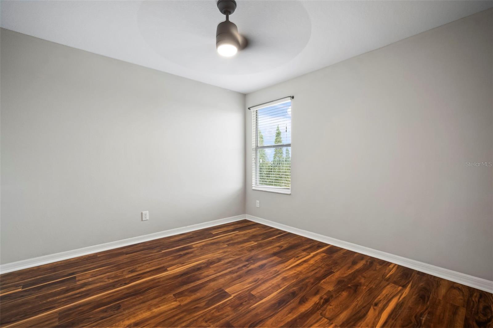 10612 STRAWBERRY TETRA DR, RIVERVIEW, FL, 33578