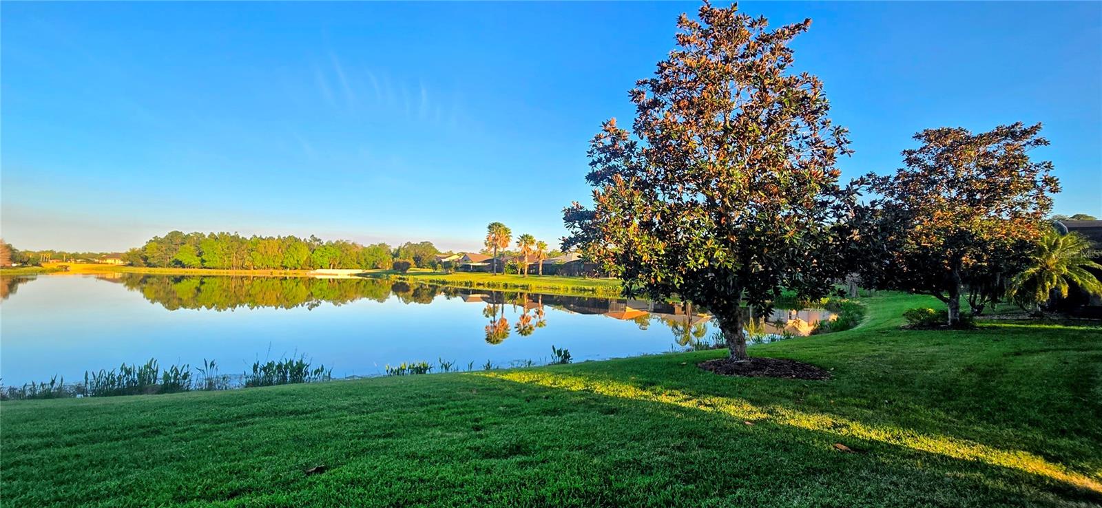 428 DAVINCI PASS, KISSIMMEE, FL, 34759
