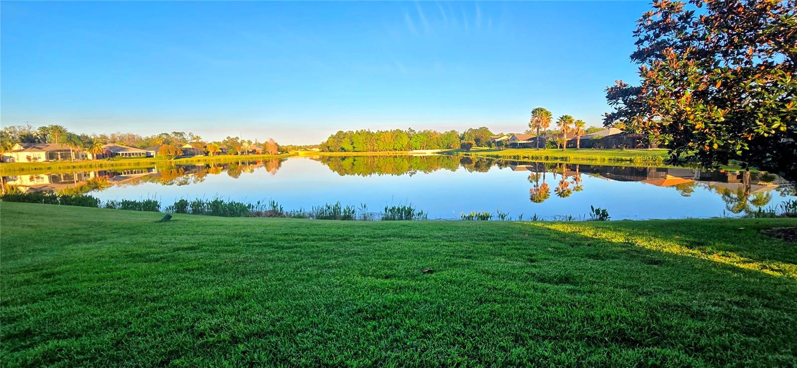 428 DAVINCI PASS, KISSIMMEE, FL, 34759