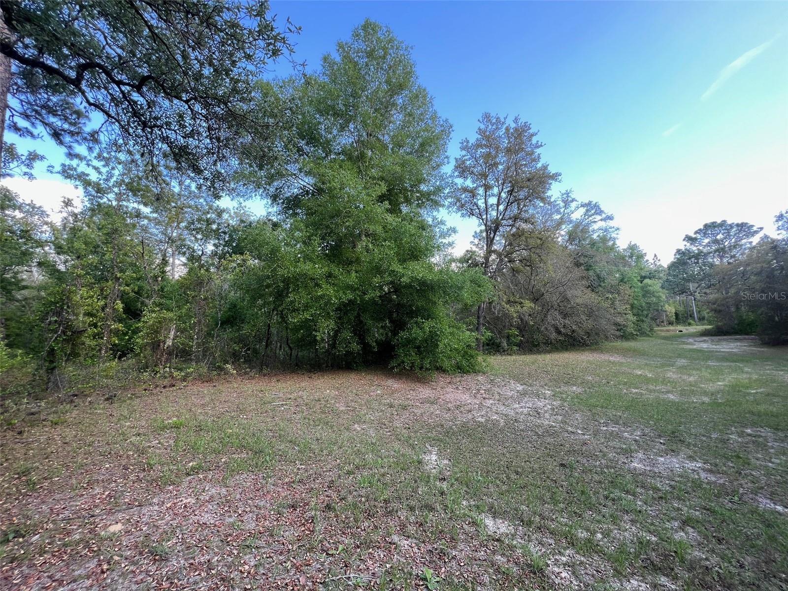 TBD SW 87 ST, DUNNELLON, FL, 34432
