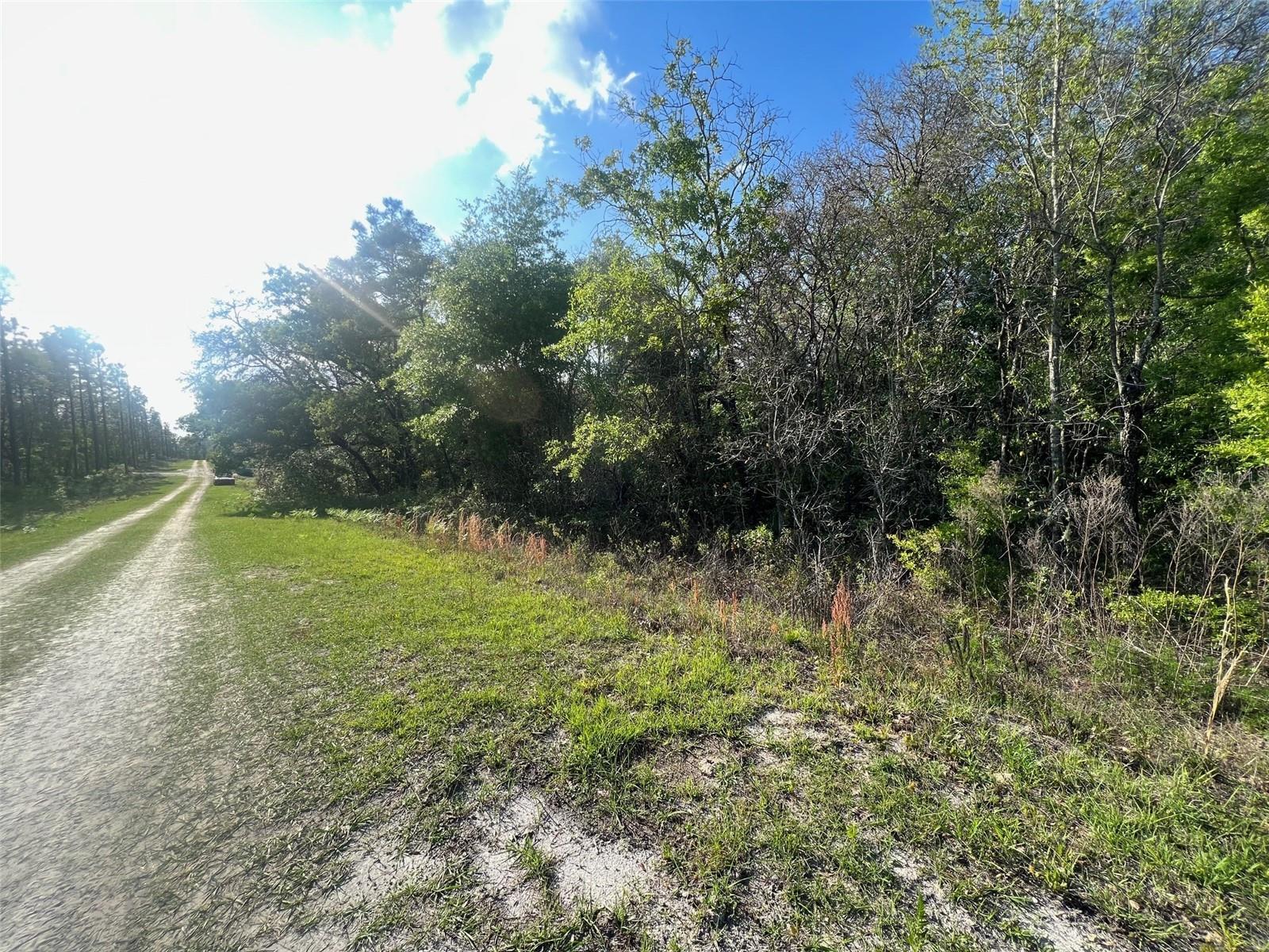 TBD SW 87 ST, DUNNELLON, FL, 34432