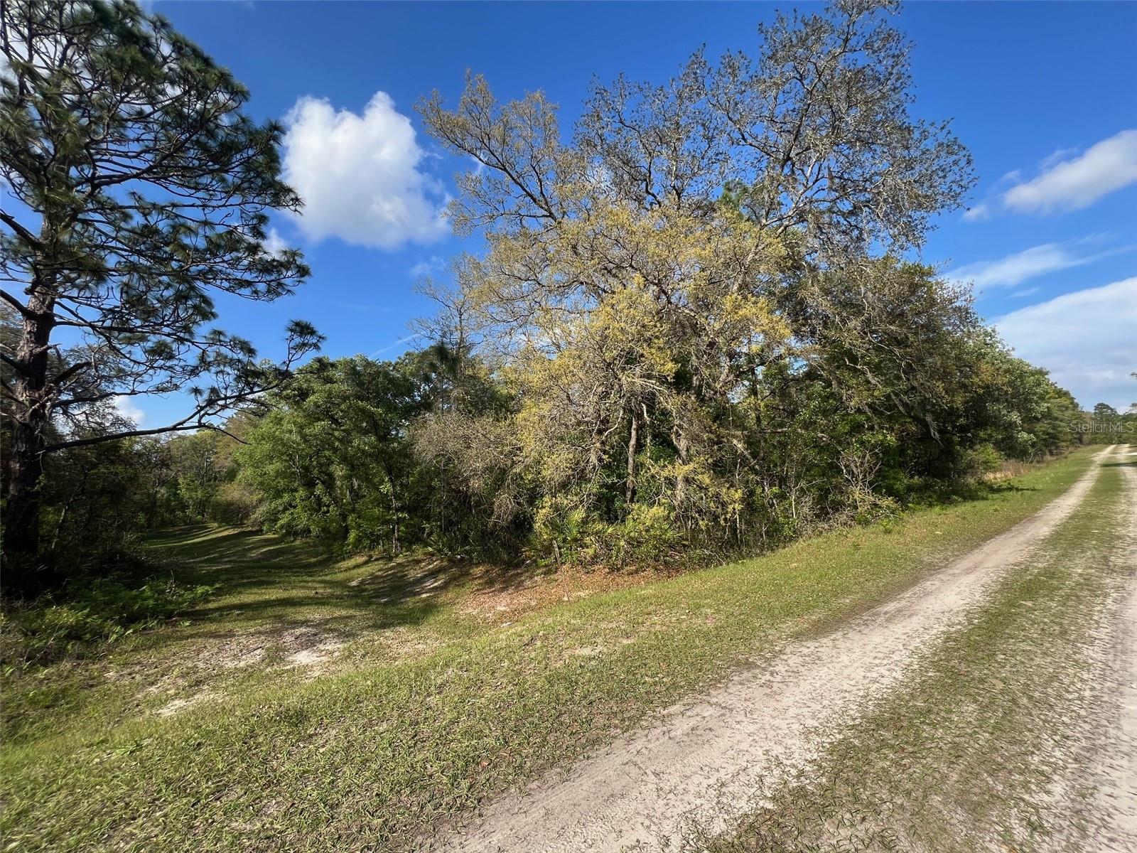 TBD SW 87 ST, DUNNELLON, FL, 34432
