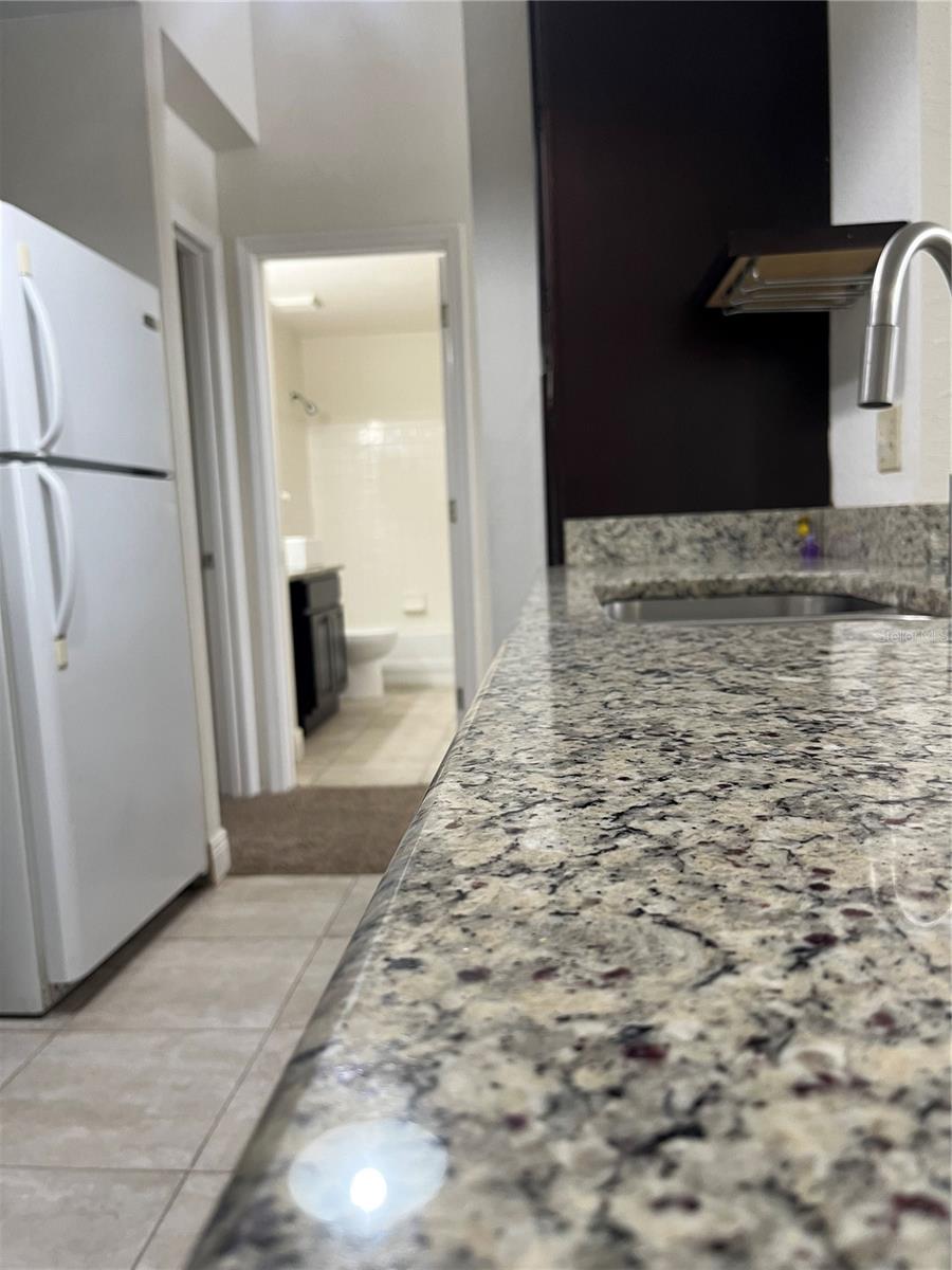 1620 COLUMBIA ARMS CIR #263, KISSIMMEE, FL, 34741