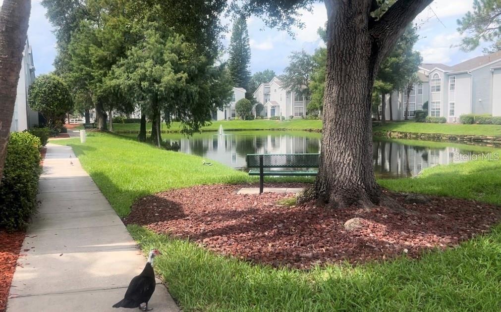 1620 COLUMBIA ARMS CIR #263, KISSIMMEE, FL, 34741