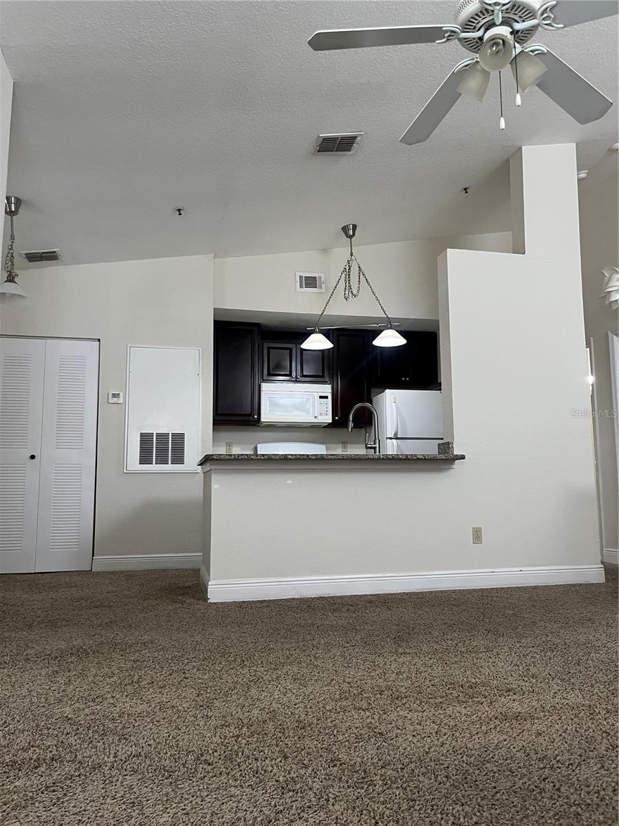 1620 COLUMBIA ARMS CIR #263, KISSIMMEE, FL, 34741